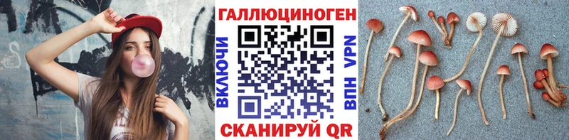 Псилоцибиновые грибы Psilocybine cubensis  Горячеводский 
